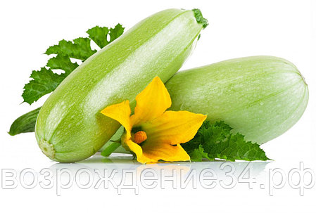Кабачок семена, Арал F1, раннеспелый, гибридный