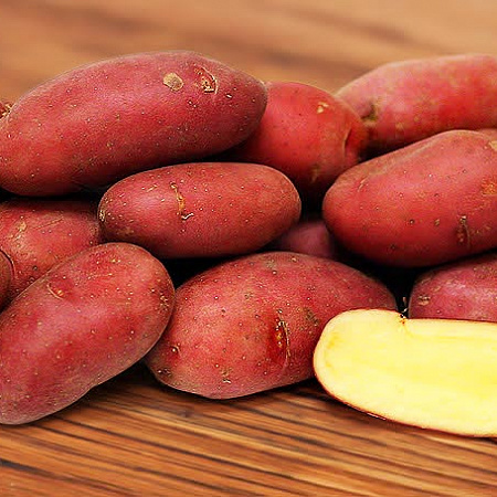 Картофель семенной, Палац, раннеспелый, урожайный