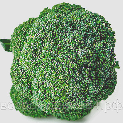 Брокколи семена, Резонанс F1, гибридный, среднеспелый
