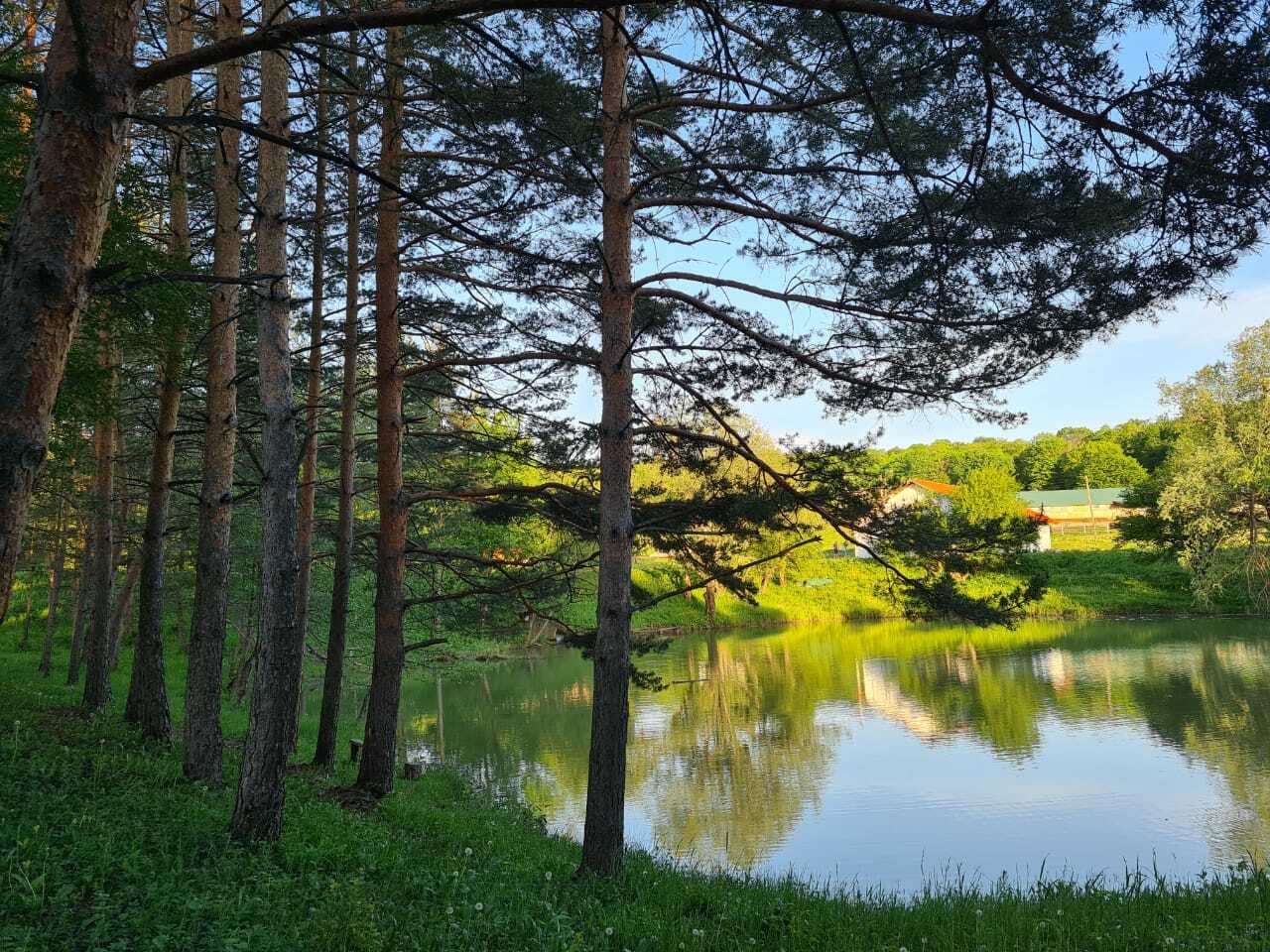 Экоферма, 54 га
