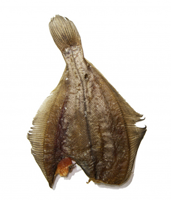 Рыбы вяленая, Ёрш-камбала, обезглавленная потрошеная