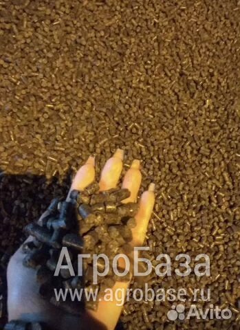 Пеллеты (топливные гранулы) из лузги подсолнечника, диаметр 8 мм Пеллеты (топливные гранулы) из лузги подсолнечника, диаметр 8 мм