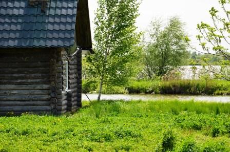 Экоферма, 54 га