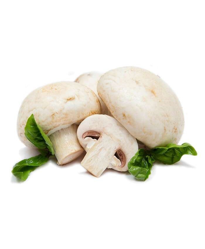 Шампиньон, свежий