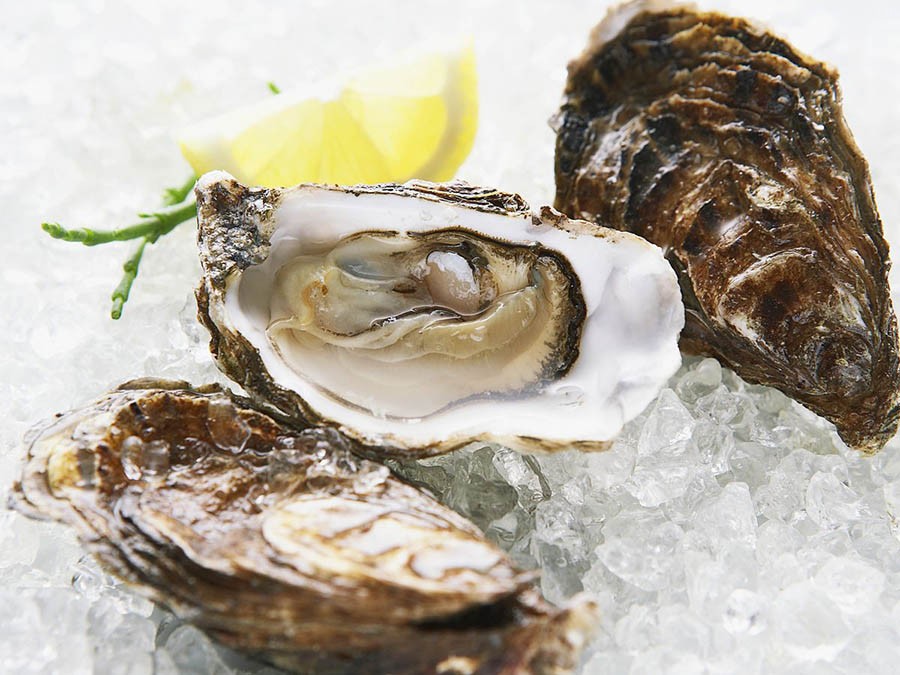 Устрицы, Императорские, живой