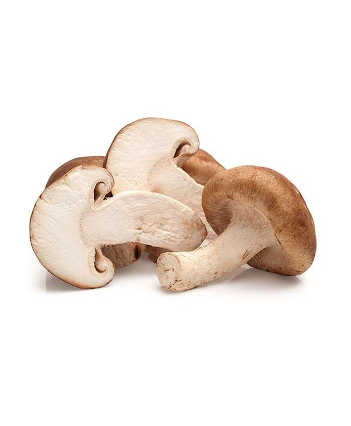 Шиитаке, свежий