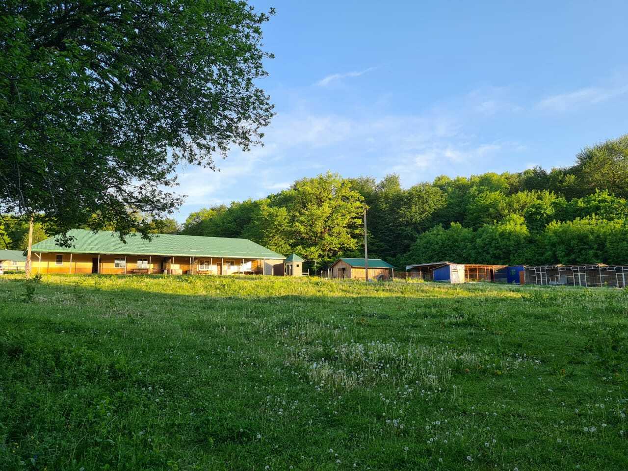 Экоферма, 54 га