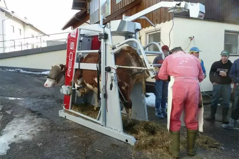 Станок для обработки копыт вертикальный, Red 5, Rosensteiner Gmbh