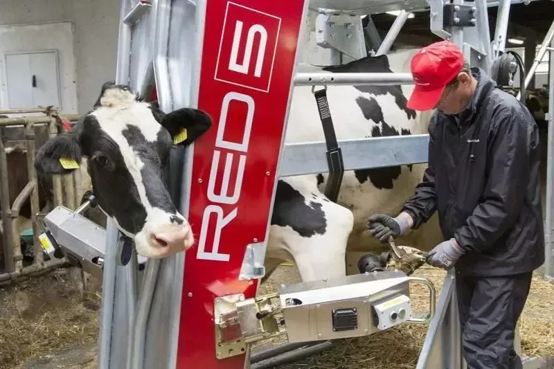 Станок для обработки копыт вертикальный, Red 5, Rosensteiner Gmbh