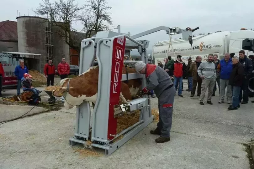 Станок для обработки копыт вертикальный, Red 5, Rosensteiner Gmbh