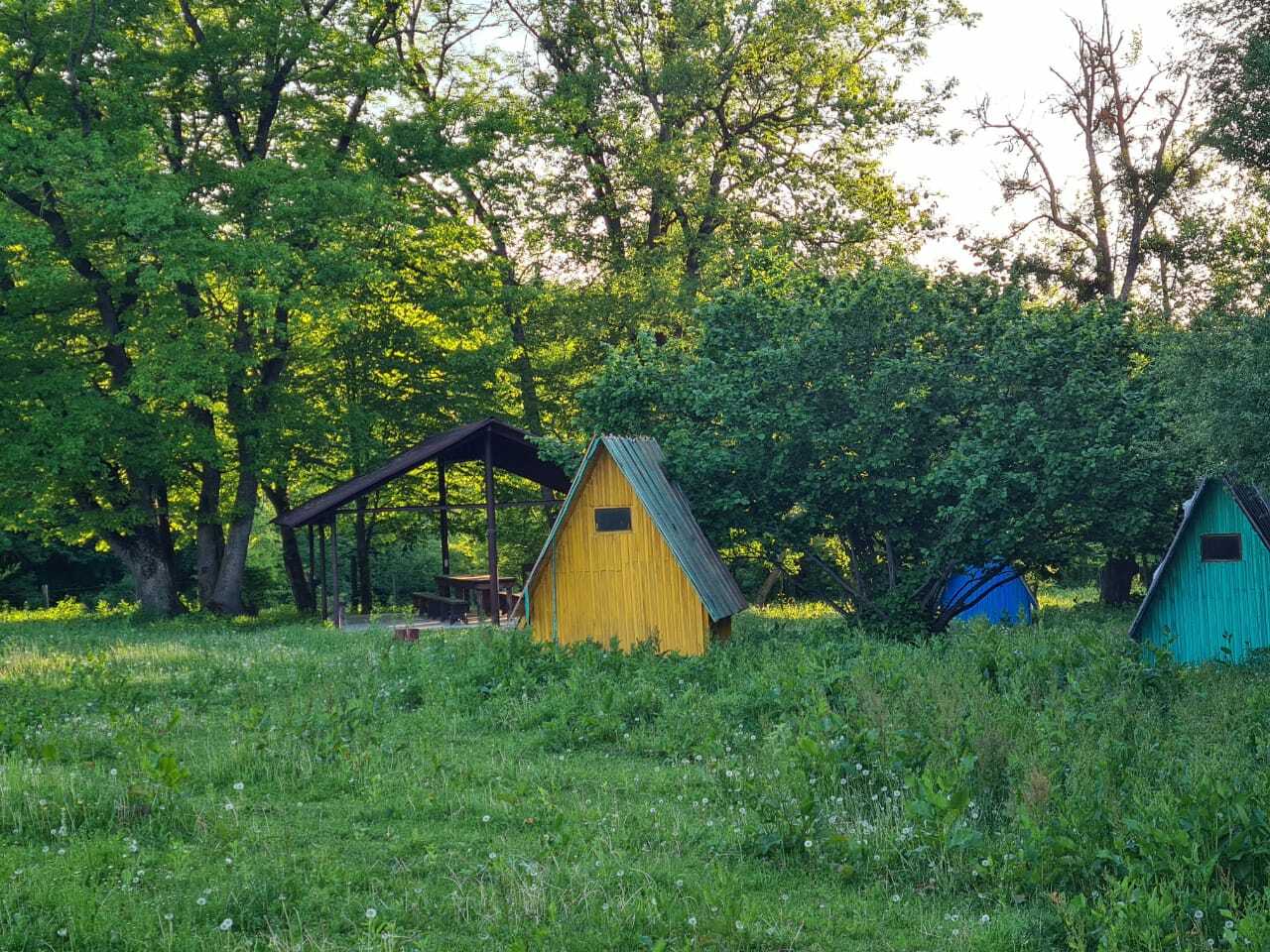 Экоферма, 54 га
