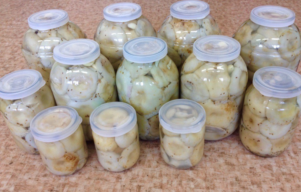 Грибы консервированные, Груздь, целый, солёный