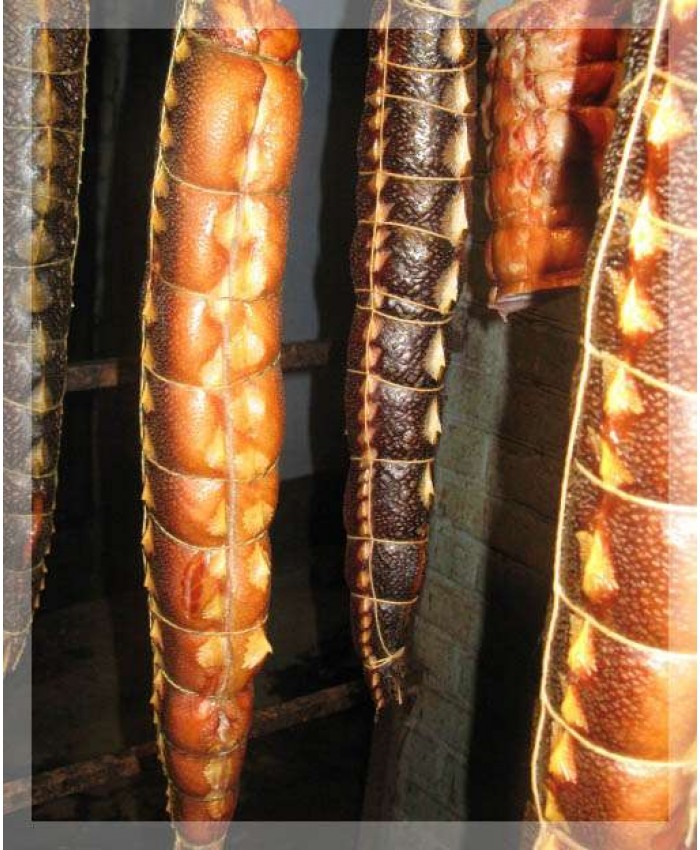 Рыбы копчёная, Севрюга, горячего копчения