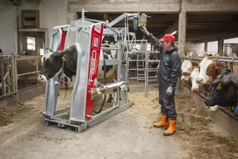 Станок для обработки копыт вертикальный, Red 5, Rosensteiner Gmbh