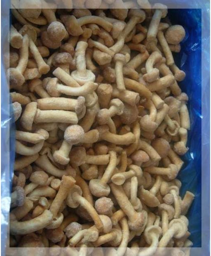 Грибы замороженные, Опёнок, целый