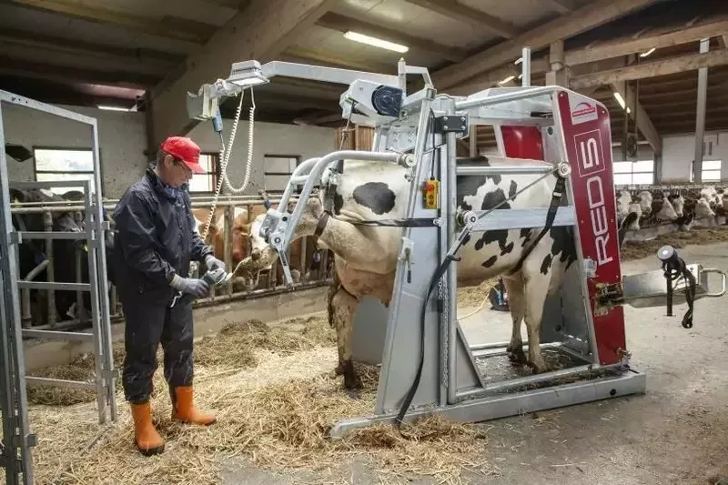 Станок для обработки копыт вертикальный, Red 5, Rosensteiner Gmbh