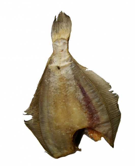 Рыбы вяленая, Ёрш-камбала, обезглавленная потрошеная