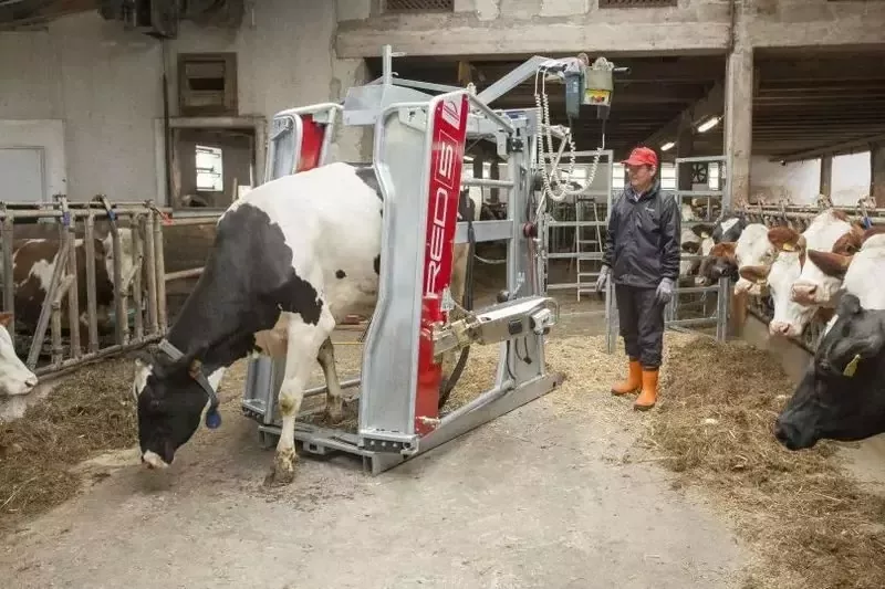 Станок для обработки копыт вертикальный, Red 5, Rosensteiner Gmbh