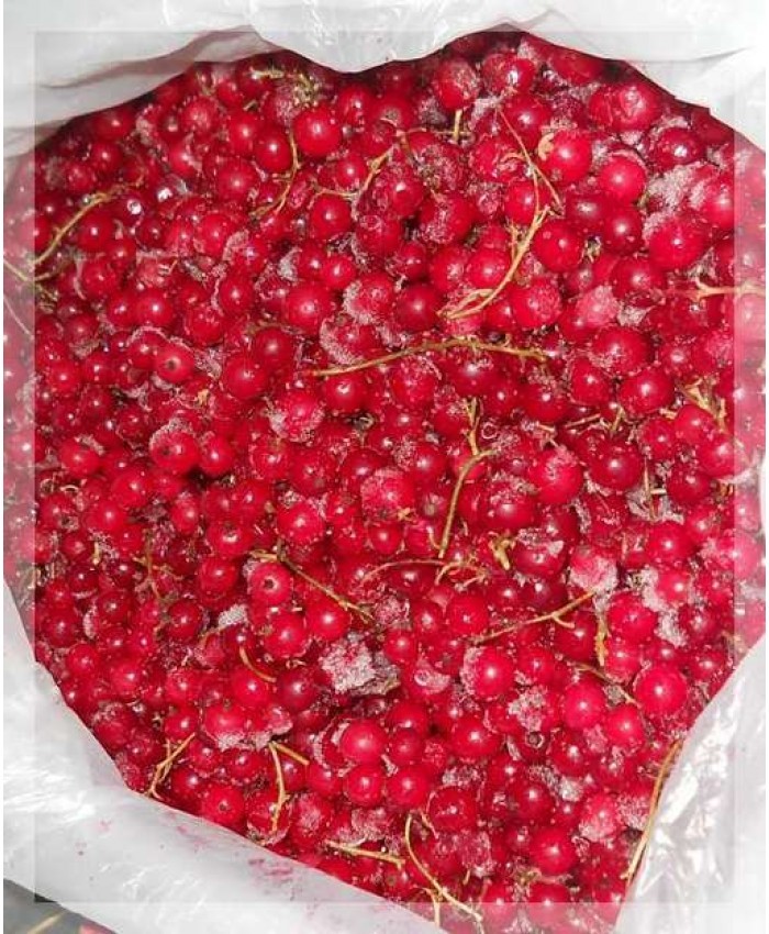 Фрукты, ягоды замороженные, Смородина, свежезамороженный