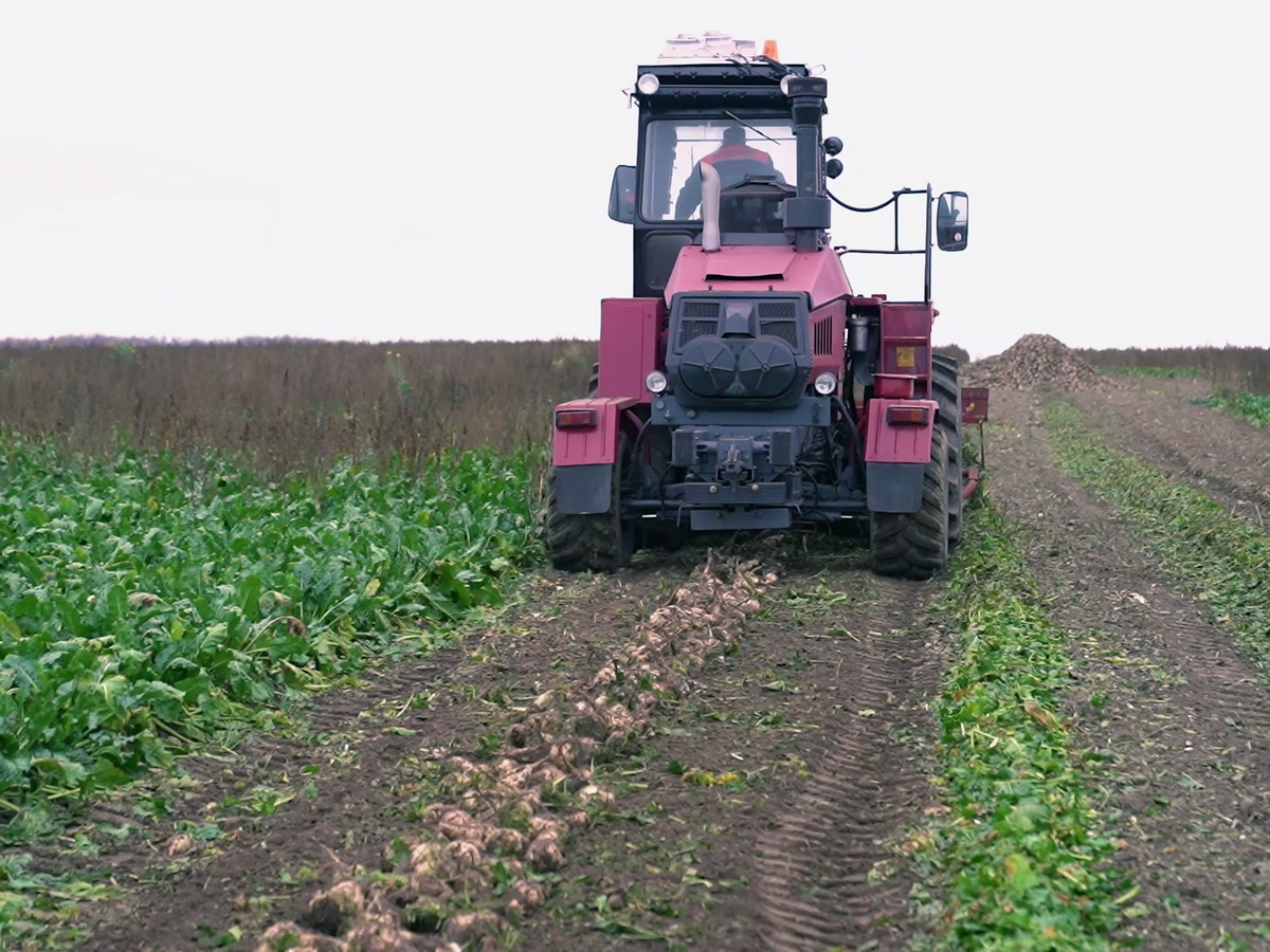 Сельскохозяйственная машина для уборки свеклы. Grimme maxtron 620. Прицепной свеклоуборочный комбайн grimme. Грима свеклоуборочный комбайн. Свеклоуборочный комбайн holmer terra dos.