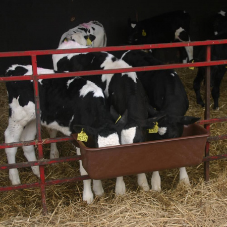 Кормушка групповая, 800, OK Plast