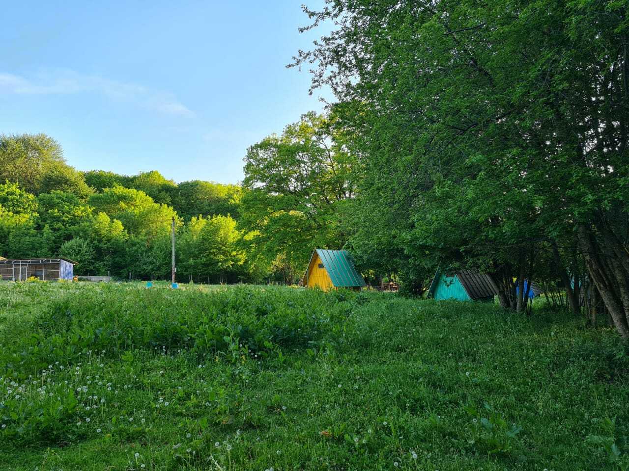Экоферма, 54 га
