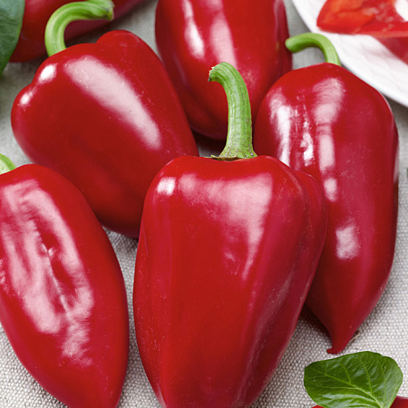 Перец сладкий красный семена, Квинта F1, раннеспелый, гибридный