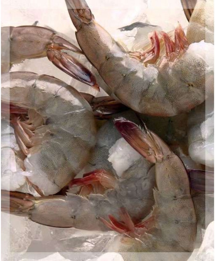 Креветки, Тигровая, замороженный, 21/25