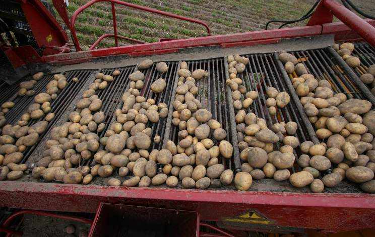 Комбайн картофелеуборочный, Палессе РТ25 (ПКК-2-05), Гомсельмаш