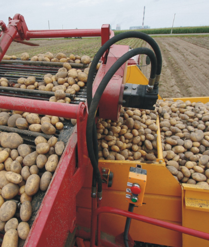 Комбайн картофелеуборочный, Палессе РТ25 (ПКК-2-05), Гомсельмаш