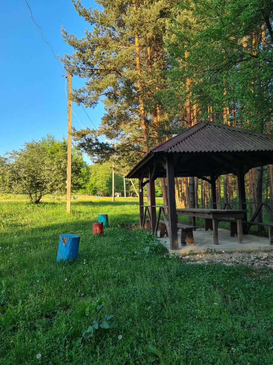 Экоферма, 54 га