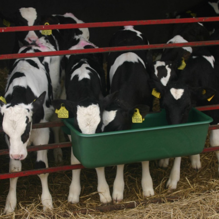 Кормушка групповая, 800, OK Plast