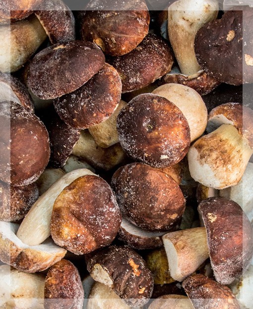 Грибы замороженные, Белый гриб, целый